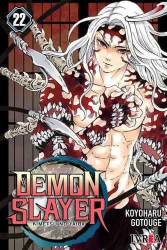Demon Slayer Vol. 22