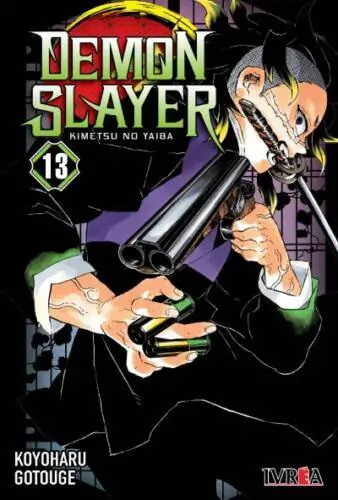 Demon Slayer Vol. 13