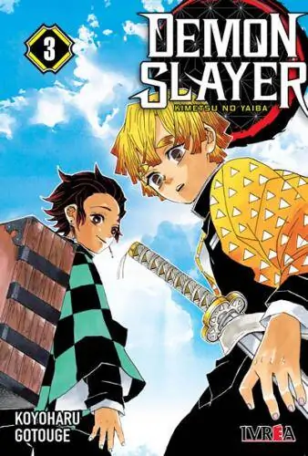 Demon Slayer Vol. 3
